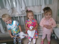 �����������