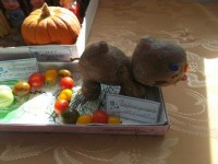 �����������