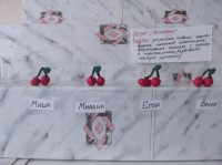 �����������