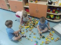 �����������