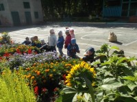 �����������