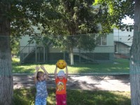 �����������