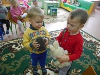 �����������