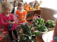 �����������