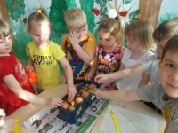 �����������