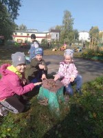 �����������