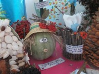 �����������