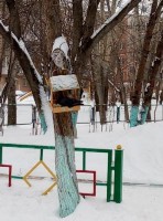 �����������