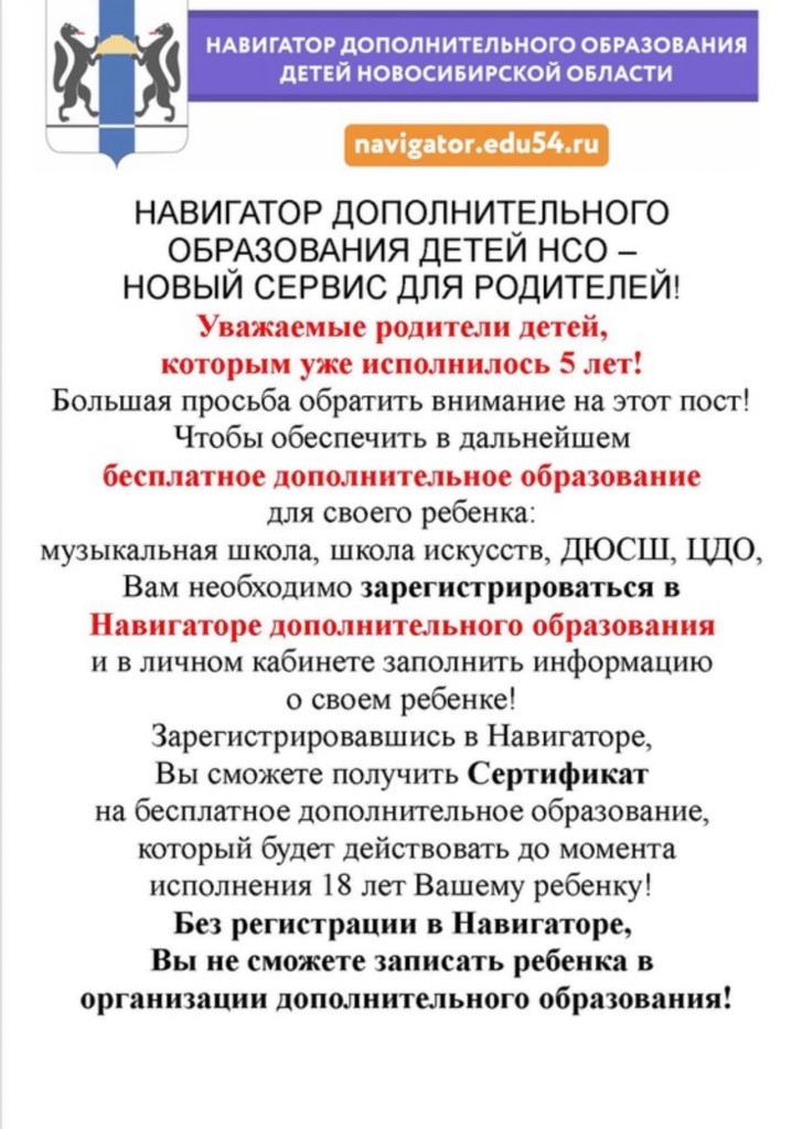 Навигатор дополнительного образования новосибирск. Навигатор ДОД НСО. Навигатор дополнительного образования Новосибирской области. Навигатор дополнительного образования регистрация. Навигатор дополнительного образования Новосибирск личный кабинет.